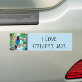 Steller's Jay - Original Photograph バンパーステッカー (車上)