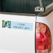 Steller's Jay - Original Photograph バンパーステッカー (トラック上)