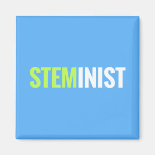 STEMinistの磁石 マグネット