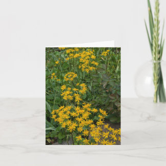 Stenton House Museum & Gardenのキツネノボタンヅル サンキューカード