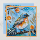 STEPHEN ～ハッピーバースデー～果樹の鳥～ (正面/裏面)