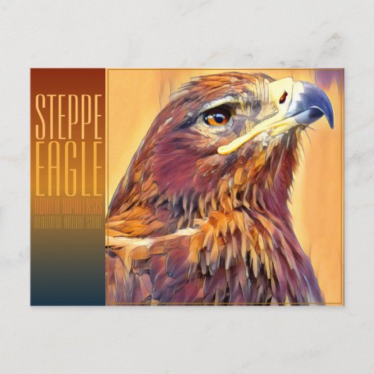 Steppe Eagle [Postcard] ポストカード (正面)