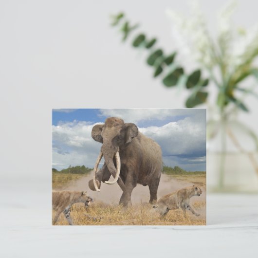 Steppe Mammoth Postcard ポストカード (スタンド正面)