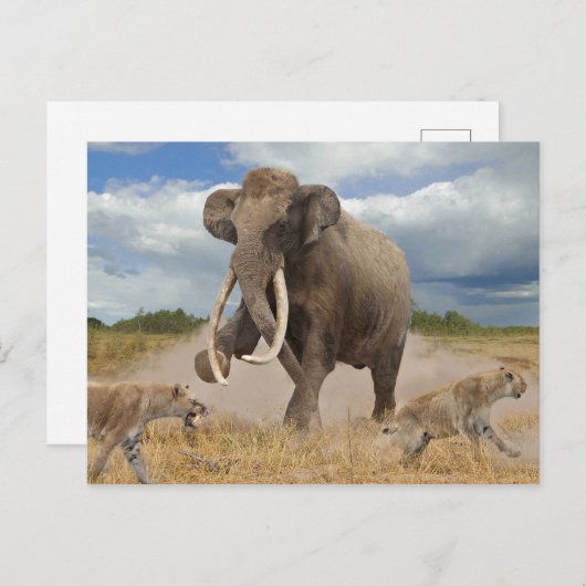 Steppe Mammoth Postcard ポストカード (正面/裏面)