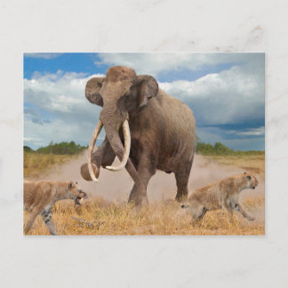 Steppe Mammoth Postcard ポストカード