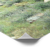 Stepping Stones Sonoran Desert Art Print Posters ポスター (角)