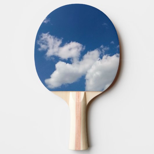 Steps in the clouds 卓球ラケット (裏面)