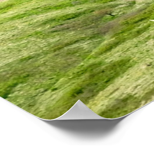 Steptoe Butteから緑のパルーズを越えて ポスター (角)