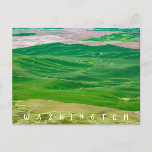 Steptoe Butteから緑のパルーズを越えて ポストカード (正面)