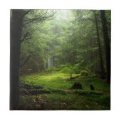 Steriousの森林 タイル (正面)