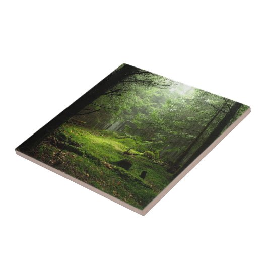 Steriousの森林 タイル (側面)