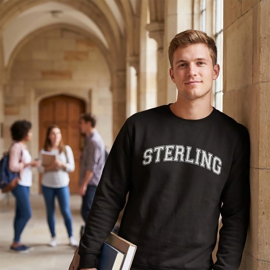 STERLING 大学スタイルセーター アメリカ カレッジ スウェットシャツ