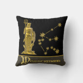 Sternzeichen Wassermann -  クッション (裏面)