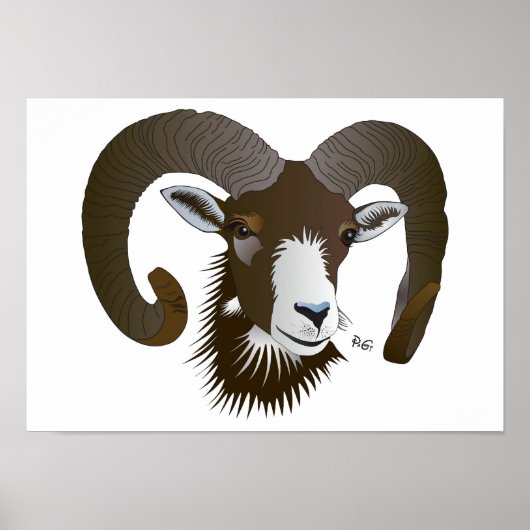 Sternzeichen - Widder Poster ポスター (正面)