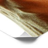 Stethoscoop in een hand voor een ziekenhuis sfeer. ポスター (コーナー)