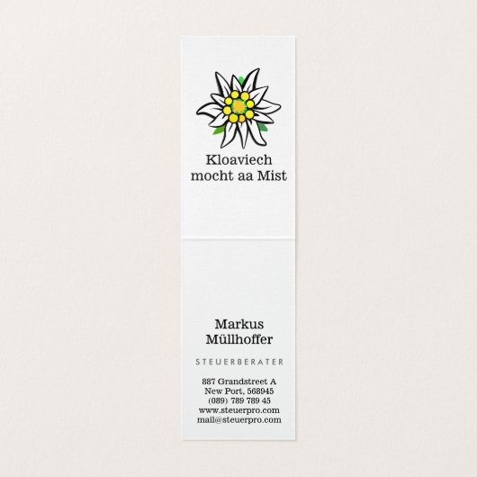 Steuerberater / Consultant 名刺 (内部フラット)