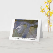 Steve& apos; sの池のコケ、スティーブの池 … カード (黄色い花)