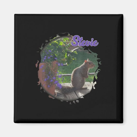 Stevie The Squirrel  マグネット (正面)