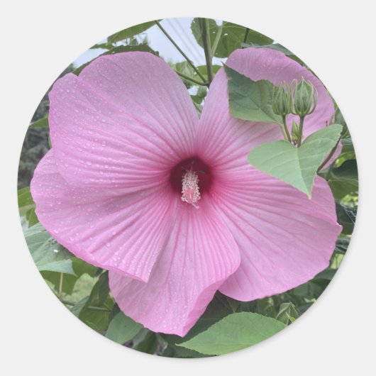 STICK IT – ピンクのパワー ラウンドシール (正面)