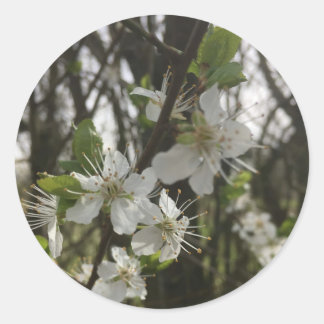 STICK IT – 希望の純粋さ ラウンドシール