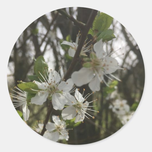 STICK IT – 希望の純粋さ ラウンドシール (正面)