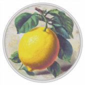 Sticker シール (正面)