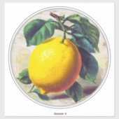 Sticker シール (シート)