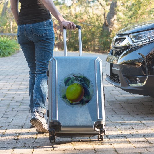 Sticker シール (スーツケースインサイチュ)