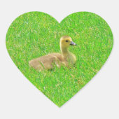 Sticker ハートシール (正面)