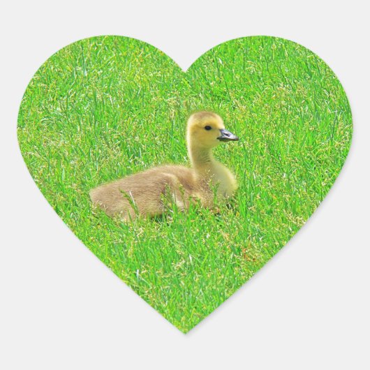 Sticker ハートシール (正面)