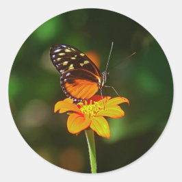 Sticker ラウンドシール