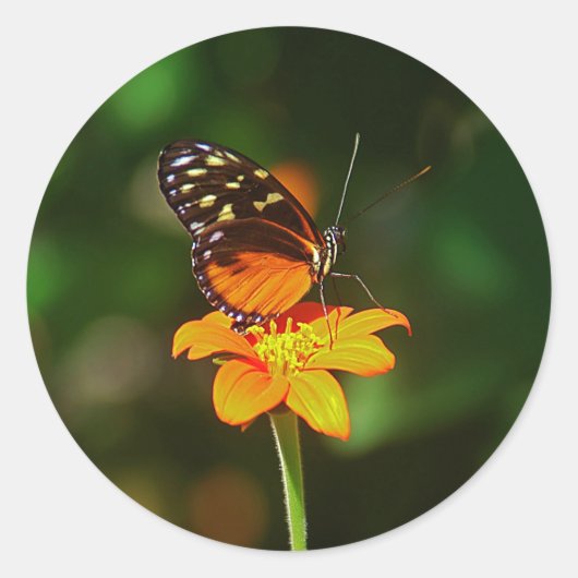 Sticker ラウンドシール (正面)