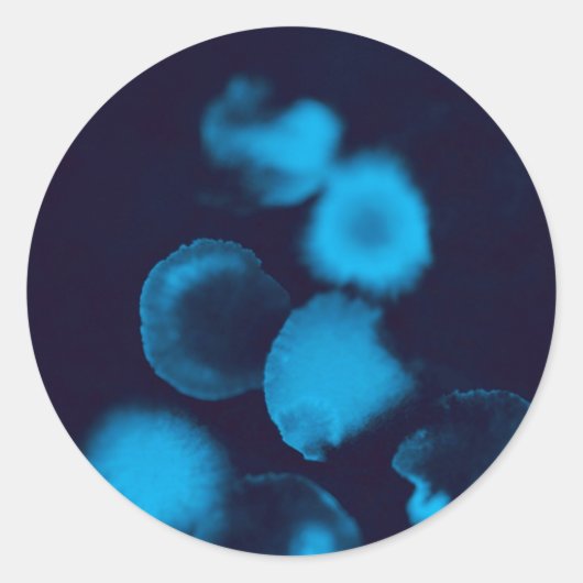 Sticker ラウンドシール (正面)