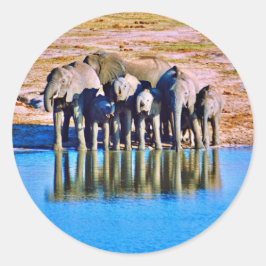 Sticker ラウンドシール