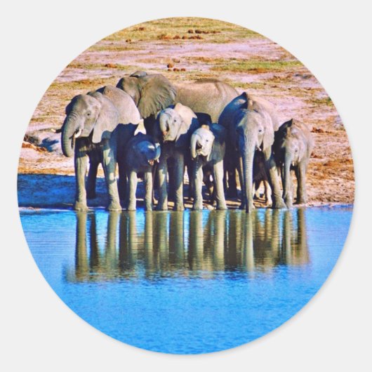 Sticker ラウンドシール (正面)