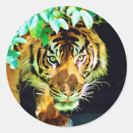 Sticker ラウンドシール