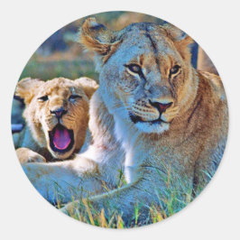 Sticker ラウンドシール