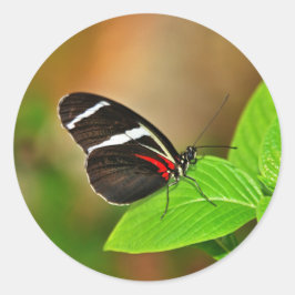 Sticker ラウンドシール