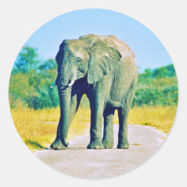 Sticker ラウンドシール