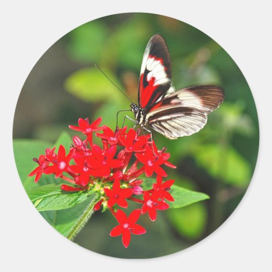 Sticker ラウンドシール (正面)