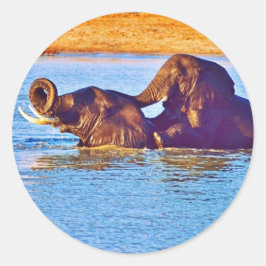 Sticker ラウンドシール