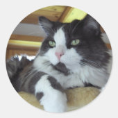 Sticker ラウンドシール (正面)