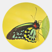 Sticker ラウンドシール (正面)