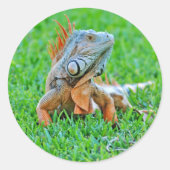 Sticker ラウンドシール (正面)