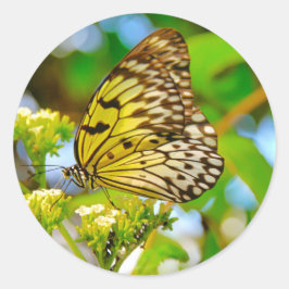 Sticker ラウンドシール