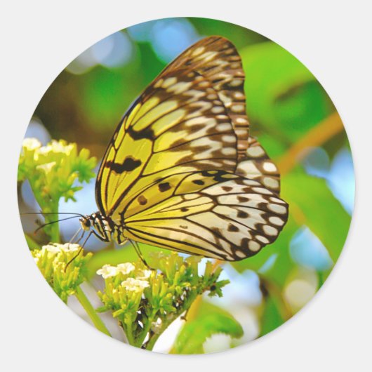 Sticker ラウンドシール (正面)