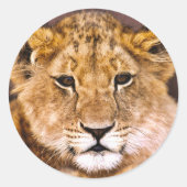 Sticker ラウンドシール (正面)