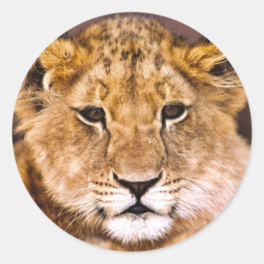 Sticker ラウンドシール (正面)