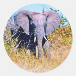 Sticker ラウンドシール