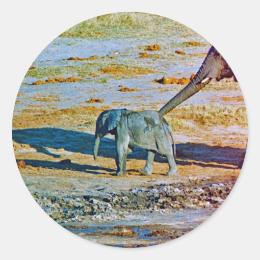 Sticker ラウンドシール (正面)